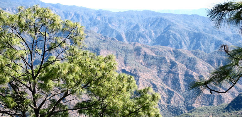 View of mountains and forests.